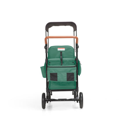 P-Series Luxury 2-seater stroller wagon