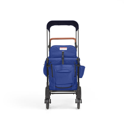 P-Series Luxe 2-zits Kinderkar
