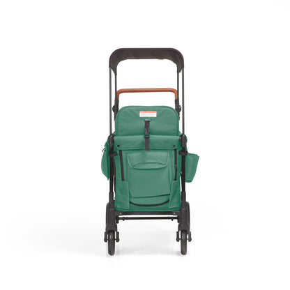 P-Series Luxury 2-seater stroller wagon