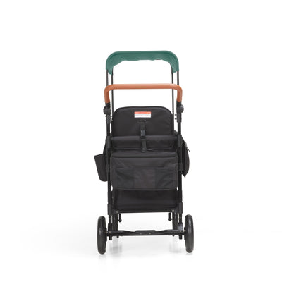 P-Series Luxury 2-seater stroller wagon