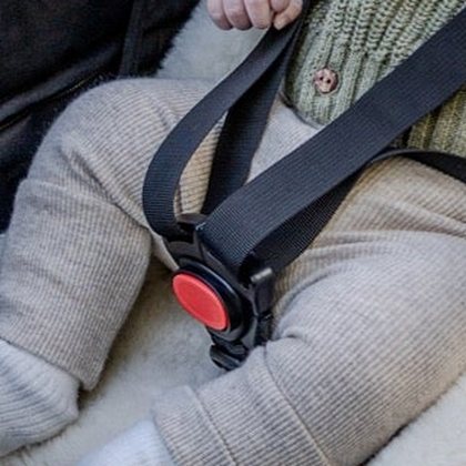 Close-up of the harness buckle