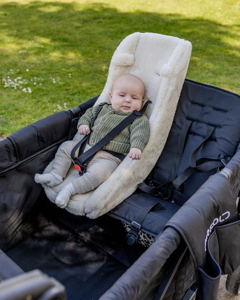 Baby strapped into the Mr Fold