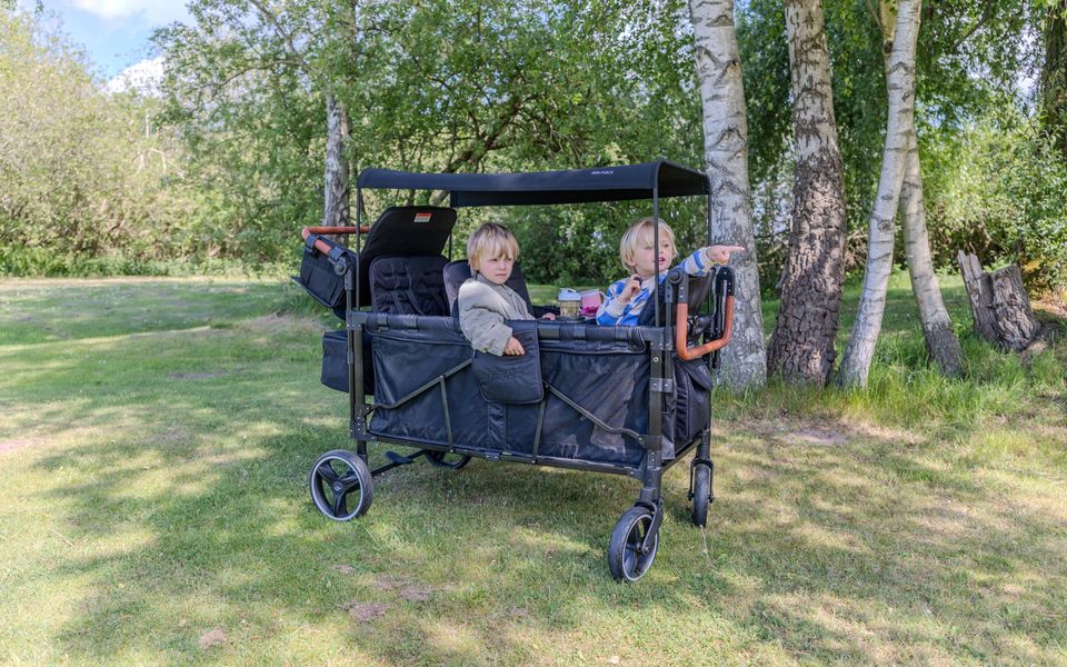 Mr Fold stroller wagon with two children on the grass